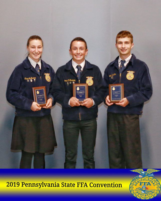 Forestry Individuals
